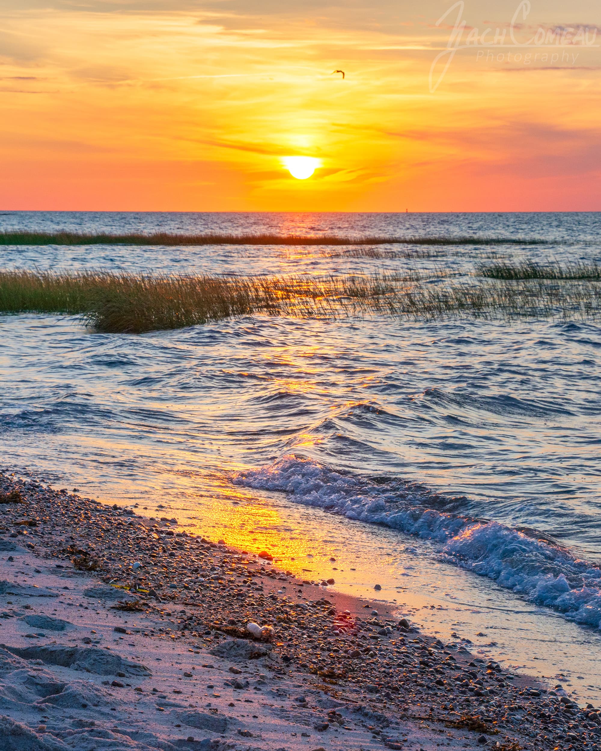 Beach Reflections